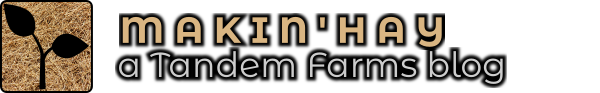 Tandem Farms: Makin' Hay (blog)